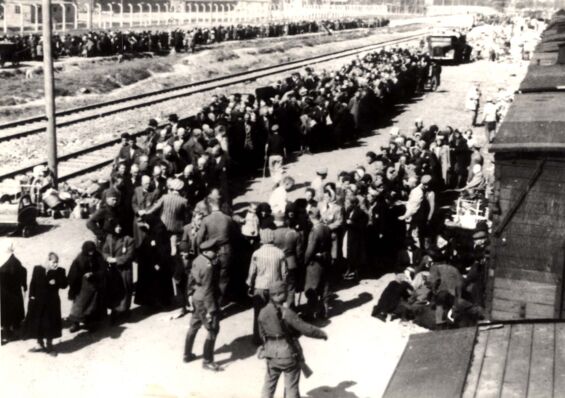 Selektion in Auschwitz; Quelle: YV AS 10BO1