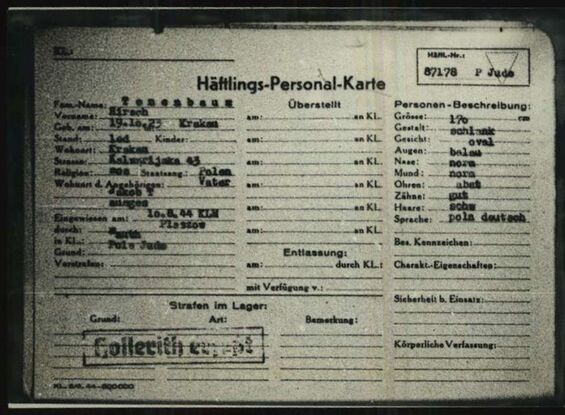 Häftlingspersonalkarte Tennenbaum- 1, Quelle: [3]